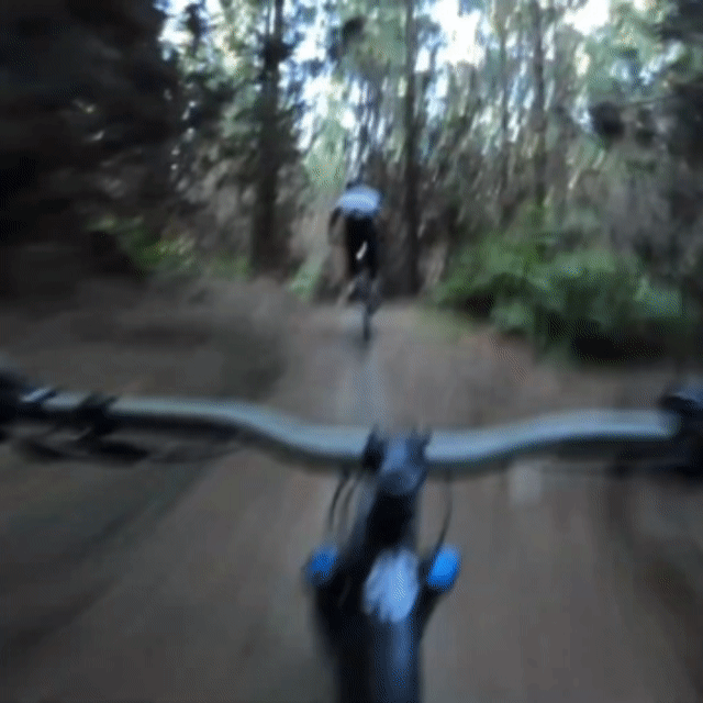 Sendori Vision™️